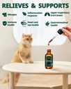 antibiotics-for-cats-cat-antibiotic-drop-5.jpg