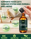 antibiotics-for-cats-cat-antibiotic-drop-4.jpg