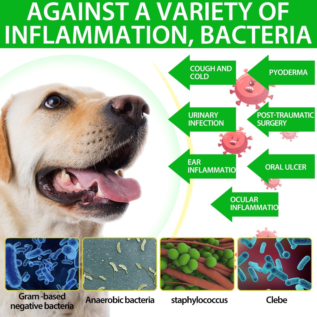 2-pack-antibiotics-for-dogs-natural-anti-3.jpg