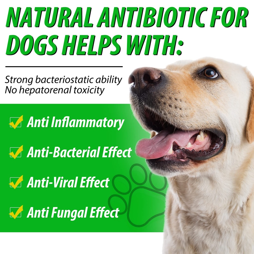 2-pack-antibiotics-for-dogs-natural-anti-5.jpg