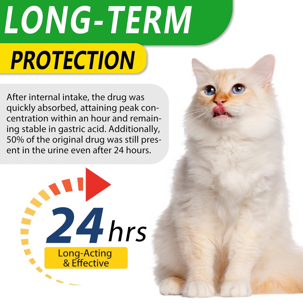 natural-antibiotics-for-cats-antibiotic--2.jpg