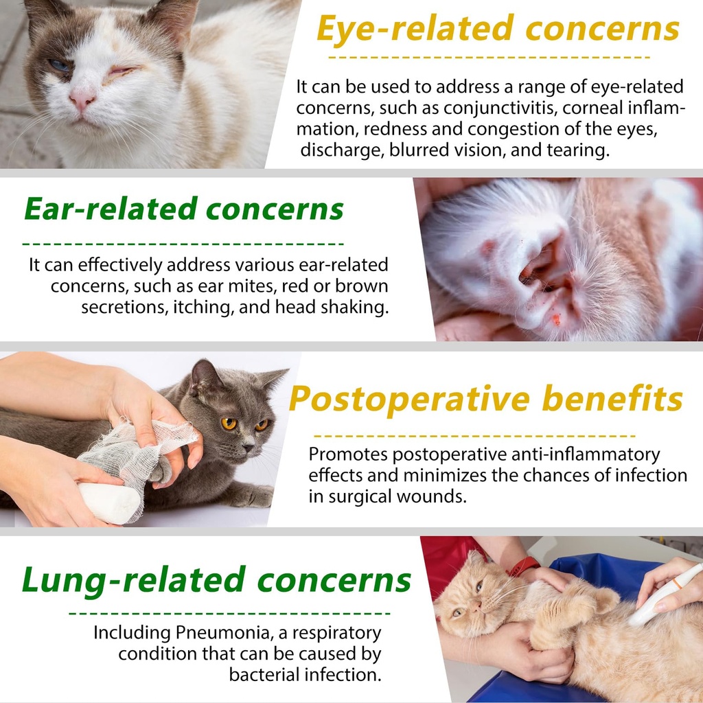 natural-antibiotics-for-cats-antibiotic--4.jpg