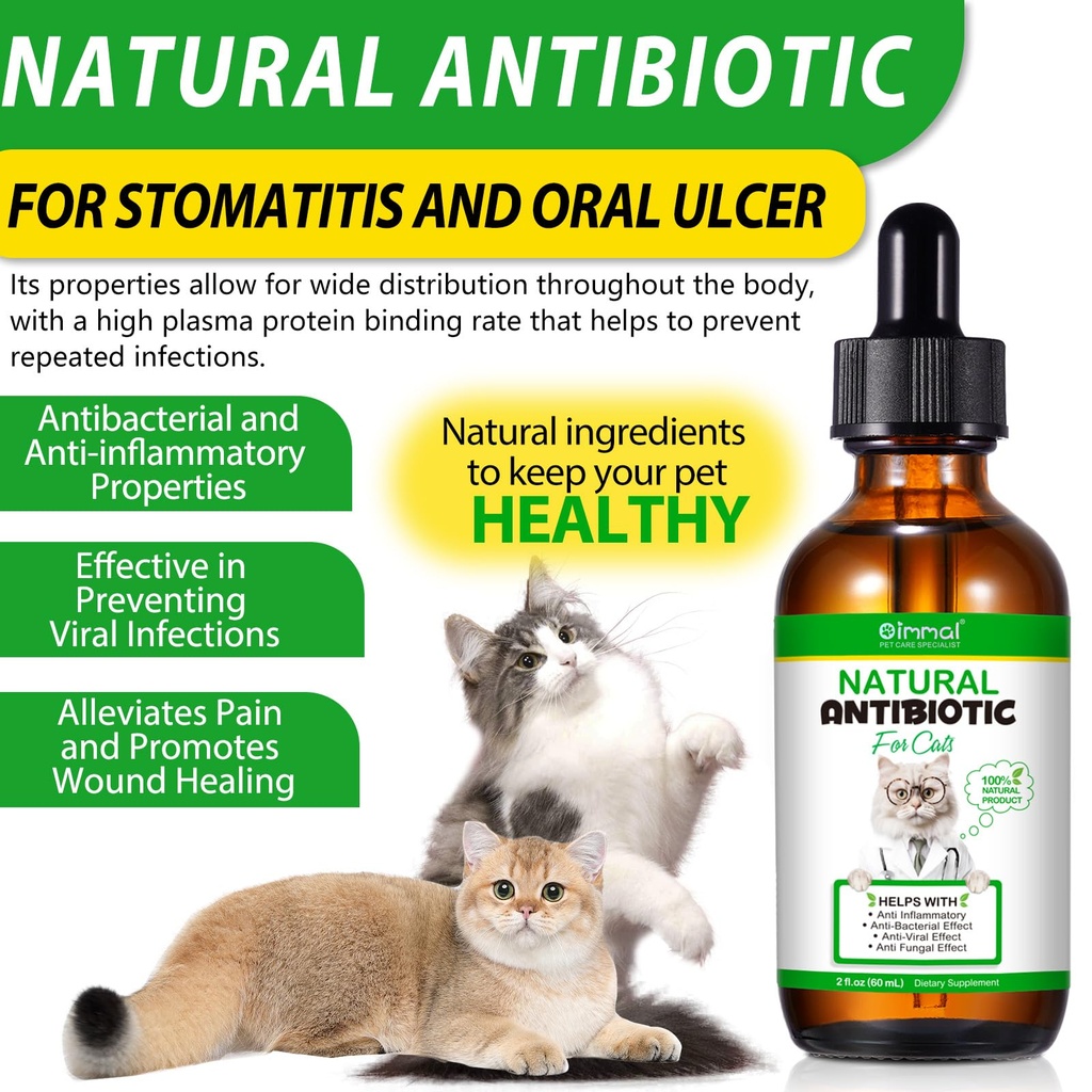 natural-antibiotics-for-cats-antibiotic--5.jpg
