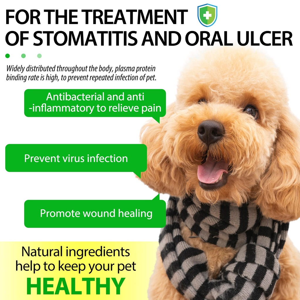 antibiotics-for-dogs-natural-dog-antibio-6.jpg
