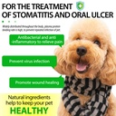 antibiotics-for-dogs-natural-dog-antibio-6.jpg