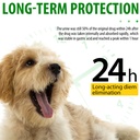 antibiotics-for-dogs-natural-dog-antibio-4.jpg