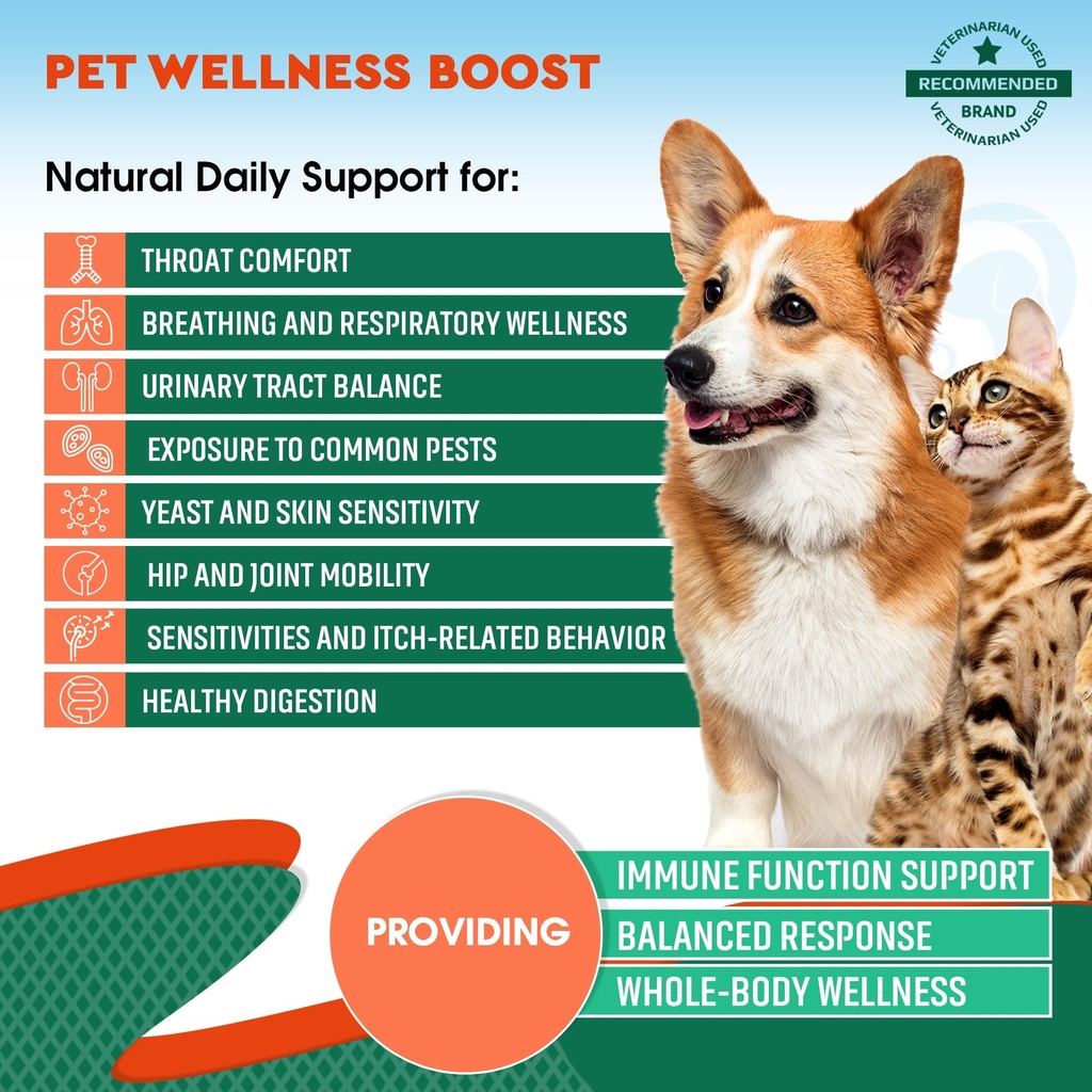 dog-cat-natural-antibiotic-urinary-tract-2.jpg