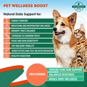 dog-cat-natural-antibiotic-urinary-tract-2.jpg