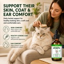 natural-antibiotics-for-cats-pet-antibio-2.jpg