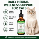 natural-antibiotics-for-cats-pet-antibio-6.jpg