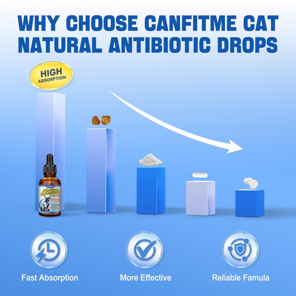 cat-antibiotic-for-infections-utis-respi-5.jpg