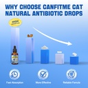 cat-antibiotic-for-infections-utis-respi-5.jpg