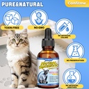 cat-antibiotic-for-infections-utis-respi-6.jpg