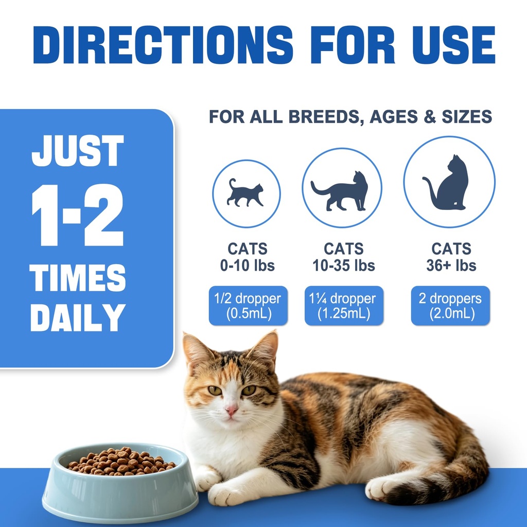 cat-antibiotic-for-infections-utis-respi-4.jpg