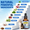 cat-antibiotic-for-infections-utis-respi-3.jpg
