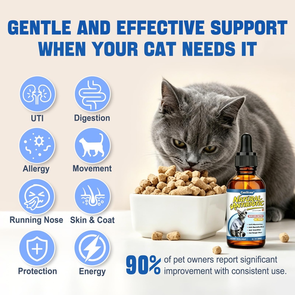 cat-antibiotic-for-infections-utis-respi-2.jpg