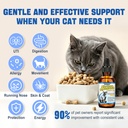 cat-antibiotic-for-infections-utis-respi-2.jpg