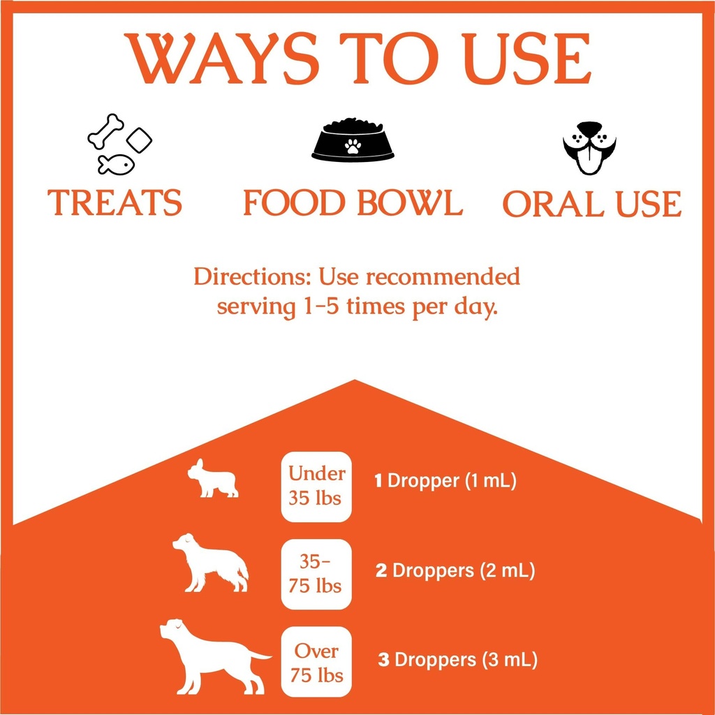 natural-antibiotics-for-dogs-dog-antibio-4.jpg