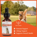 natural-antibiotics-for-dogs-dog-antibio-2.jpg