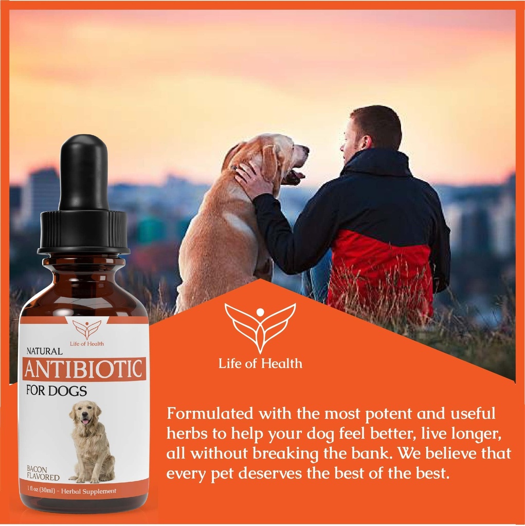 natural-antibiotics-for-dogs-dog-antibio-3.jpg