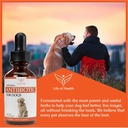 natural-antibiotics-for-dogs-dog-antibio-3.jpg