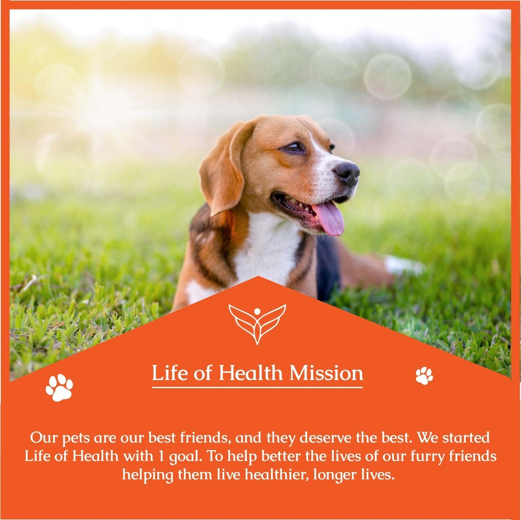 natural-antibiotics-for-dogs-dog-antibio-5.jpg