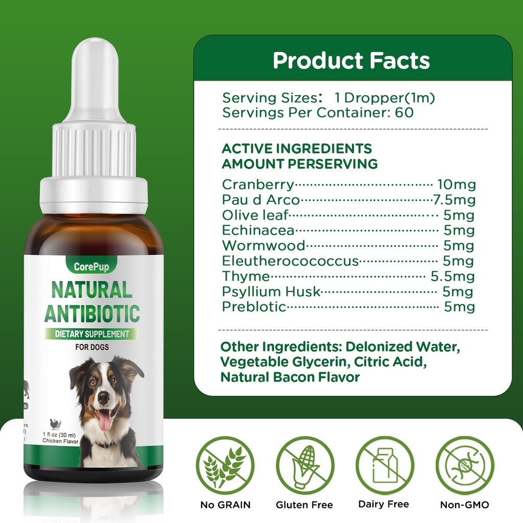 antibiotics-for-dogs-natural-antibiotics-6.jpg