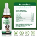 antibiotics-for-dogs-natural-antibiotics-6.jpg