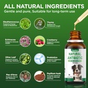 antibiotics-for-dogs-natural-antibiotics-4.jpg