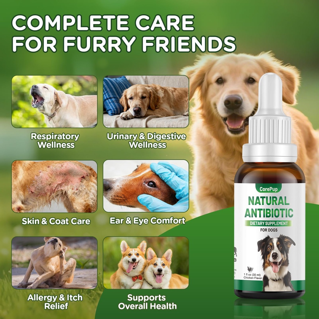 antibiotics-for-dogs-natural-antibiotics-3.jpg
