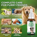 antibiotics-for-dogs-natural-antibiotics-3.jpg
