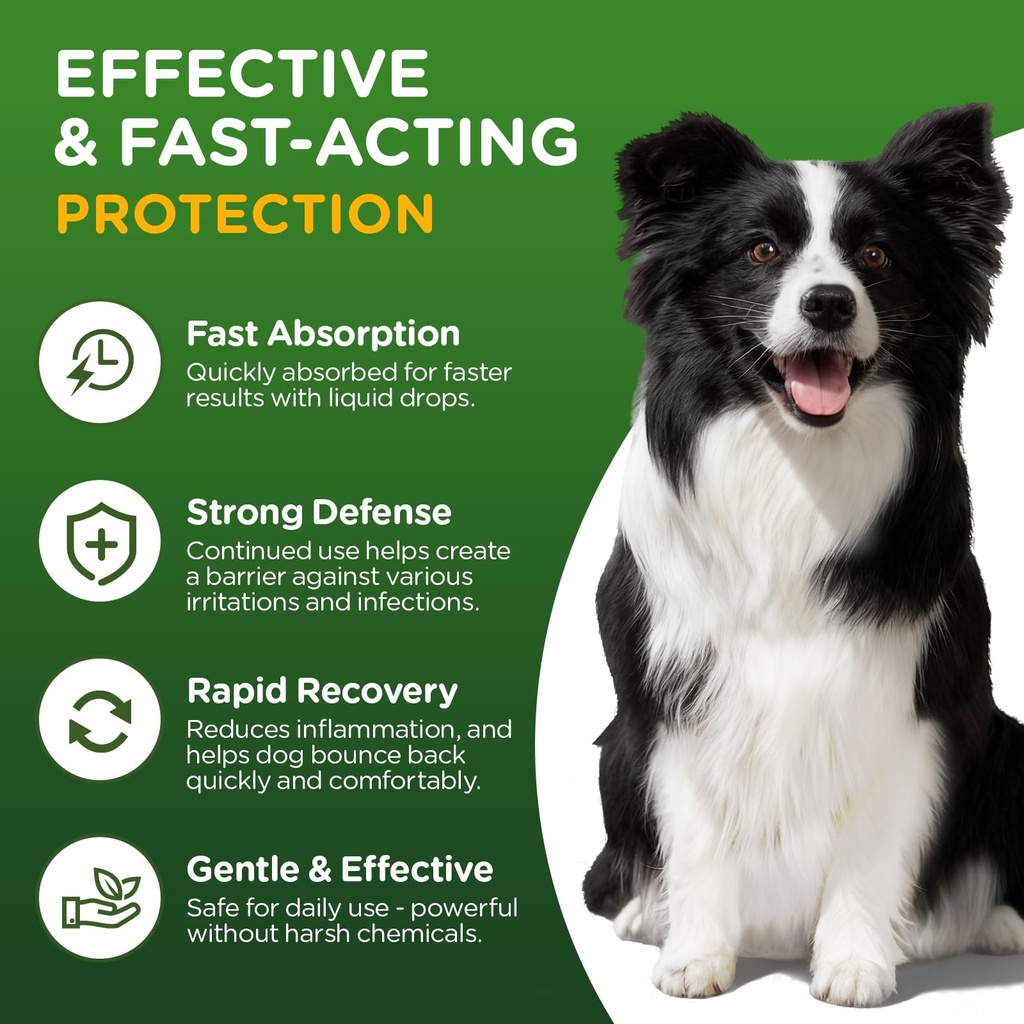antibiotics-for-dogs-natural-antibiotics-2.jpg