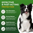 antibiotics-for-dogs-natural-antibiotics-2.jpg