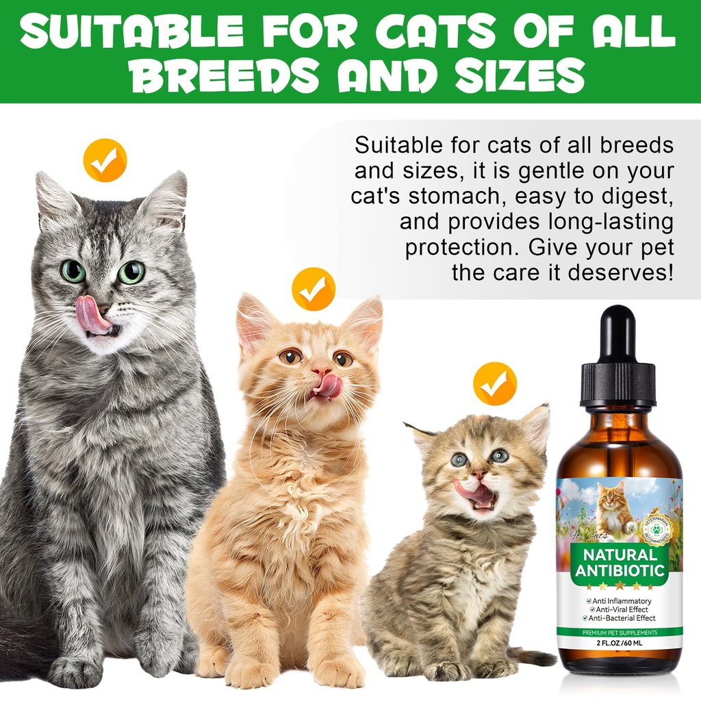 antibiotics-for-cats-natural-antibiotic--5.jpg