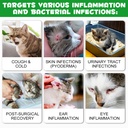 antibiotics-for-cats-natural-antibiotic--3.jpg