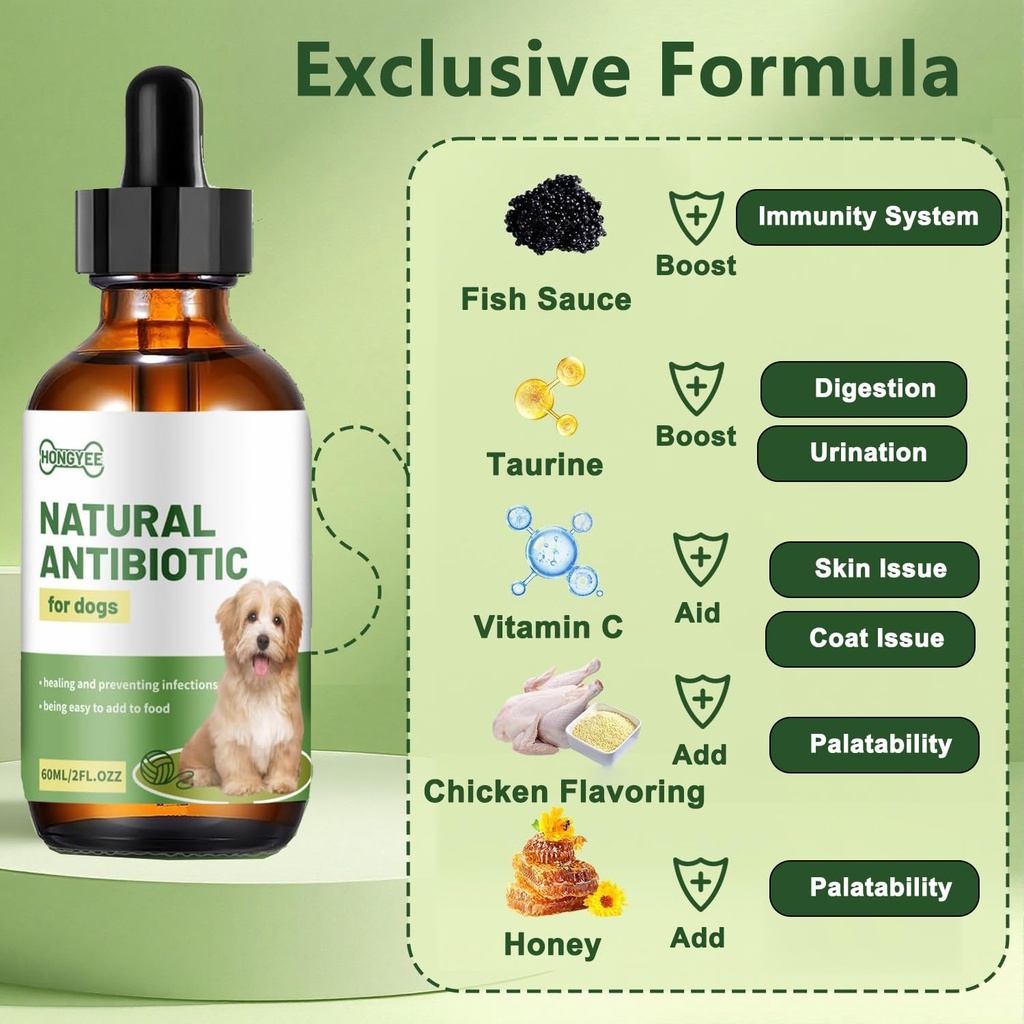 dog-antibiotics-for-infections-natural-h-3.jpg
