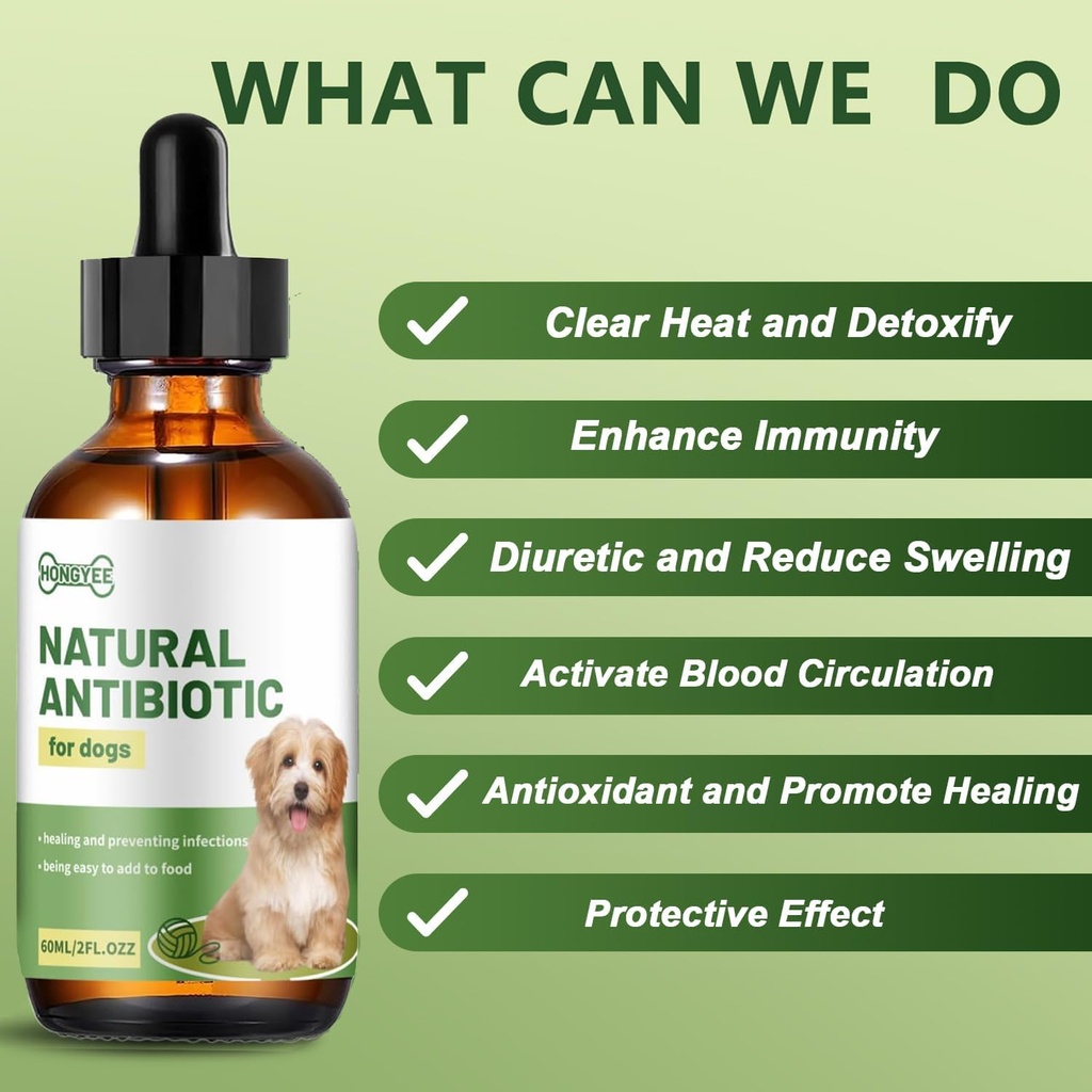 dog-antibiotics-for-infections-natural-h-4.jpg