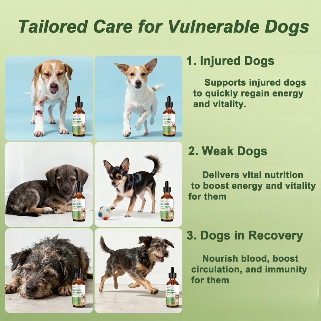 dog-antibiotics-for-infections-natural-h-5.jpg