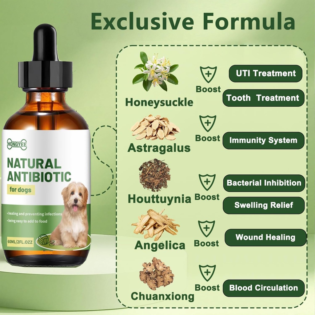 dog-antibiotics-for-infections-natural-h-2.jpg