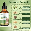 dog-antibiotics-for-infections-natural-h-2.jpg