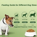 dog-antibiotics-for-infections-natural-h-6.jpg