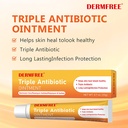 triple-antibiotic-ointment-0-7oz-long-la-2.jpg