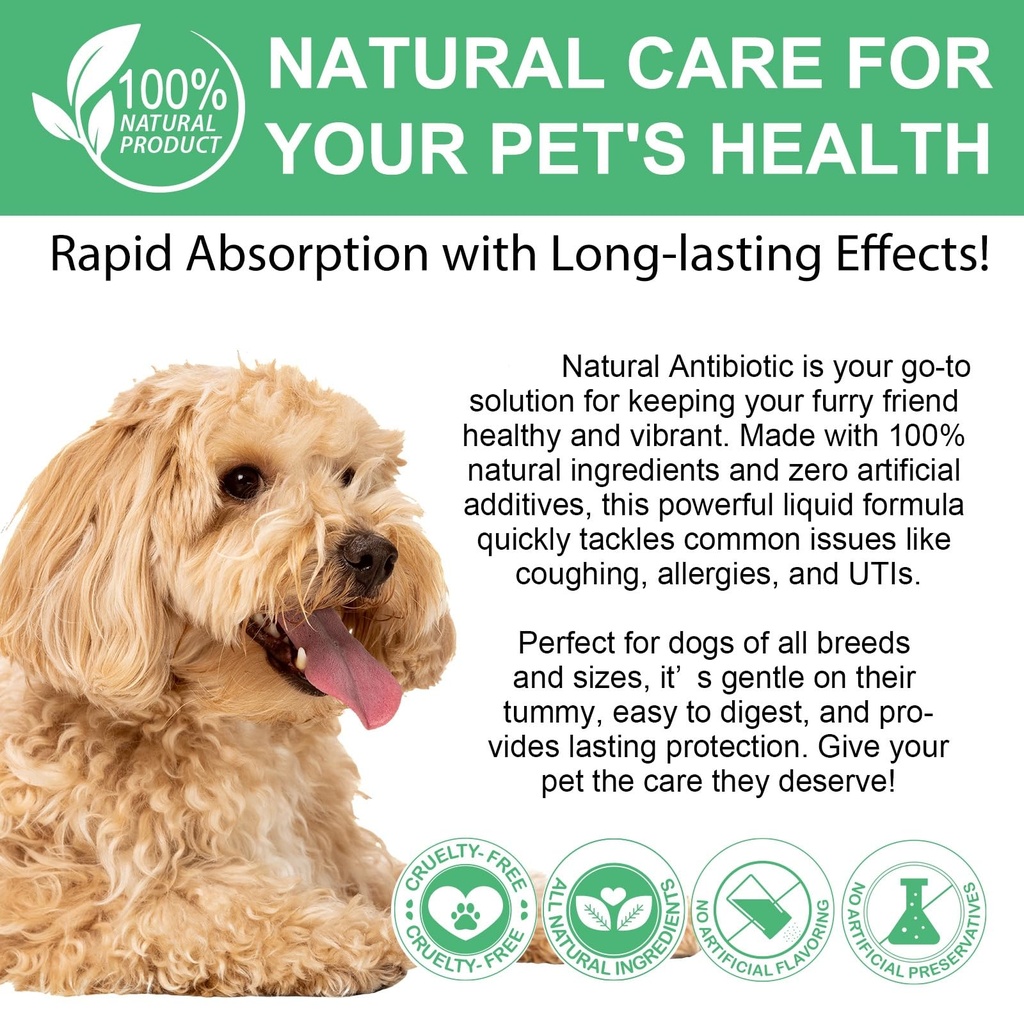 antibiotics-for-dogs-natural-antibiotics-4.jpg
