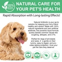 antibiotics-for-dogs-natural-antibiotics-4.jpg