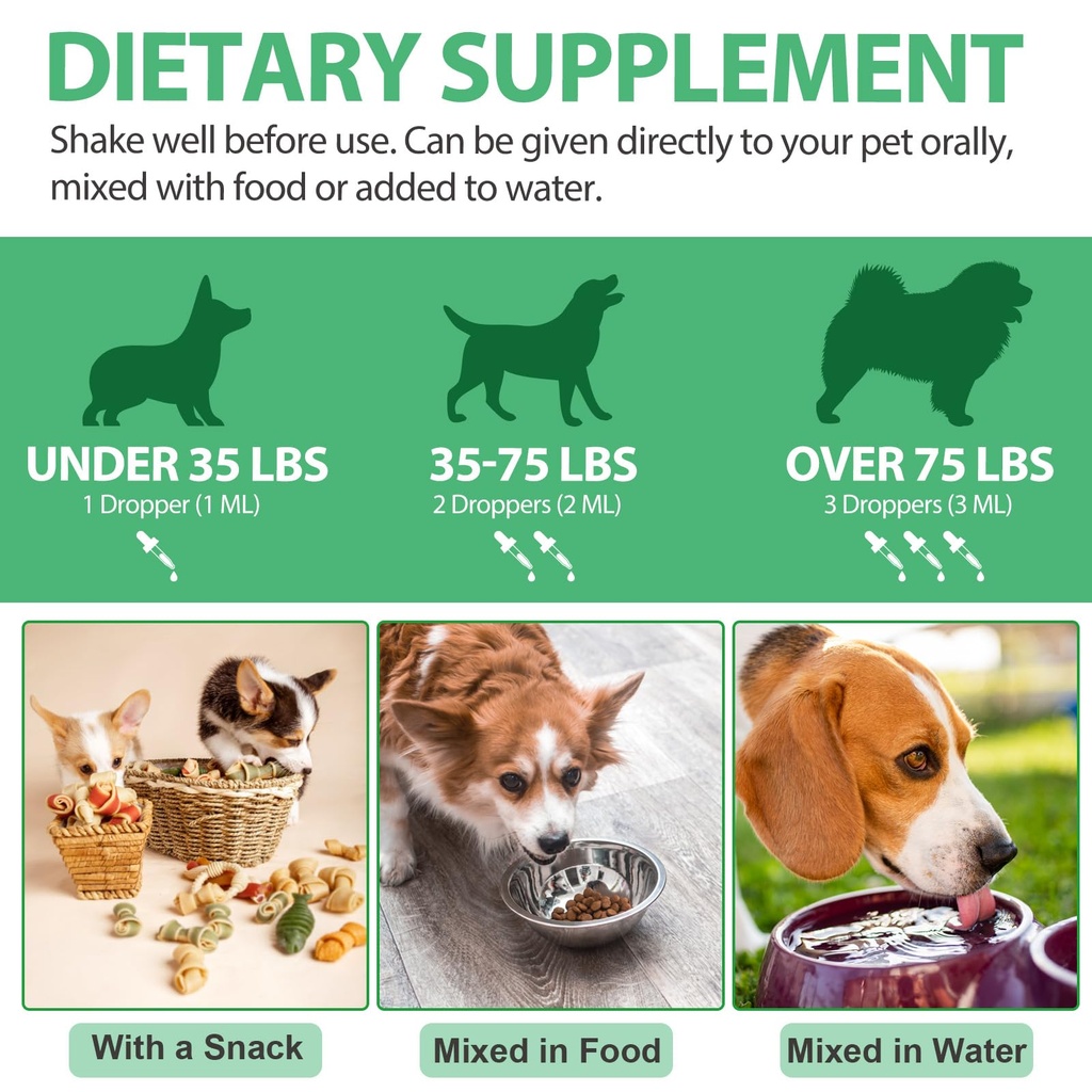 antibiotics-for-dogs-natural-antibiotics-5.jpg