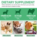 antibiotics-for-dogs-natural-antibiotics-5.jpg