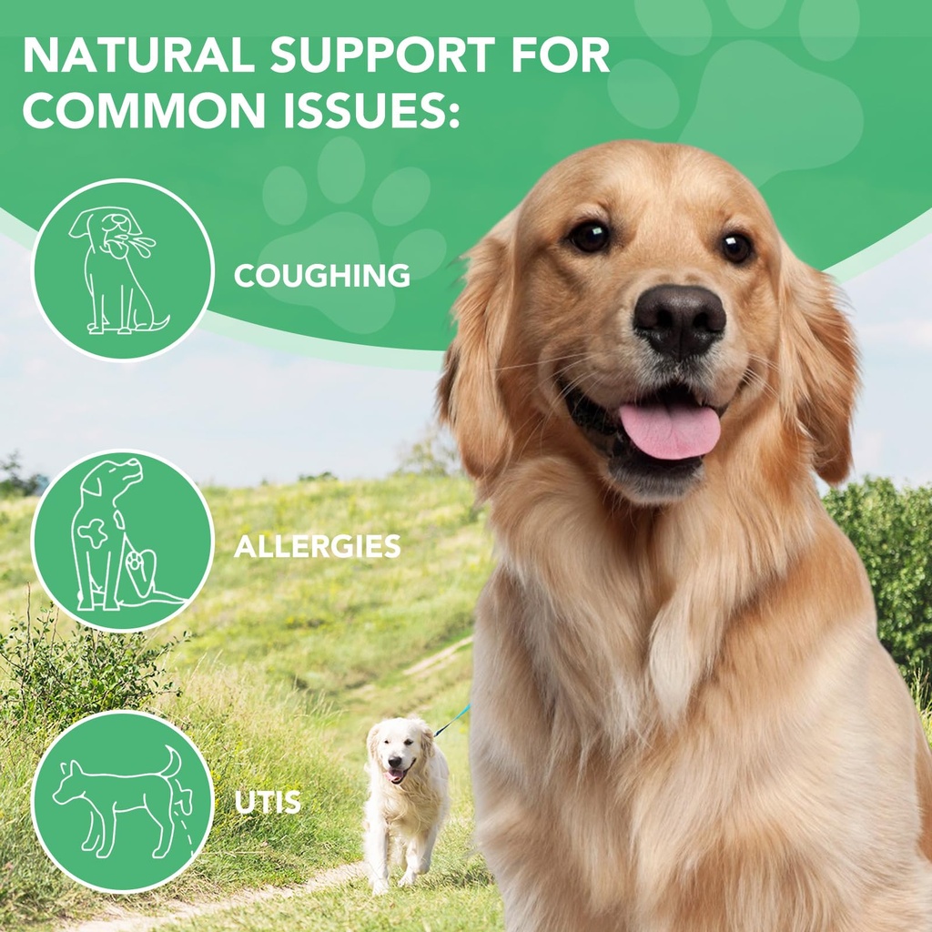antibiotics-for-dogs-natural-antibiotics-6.jpg