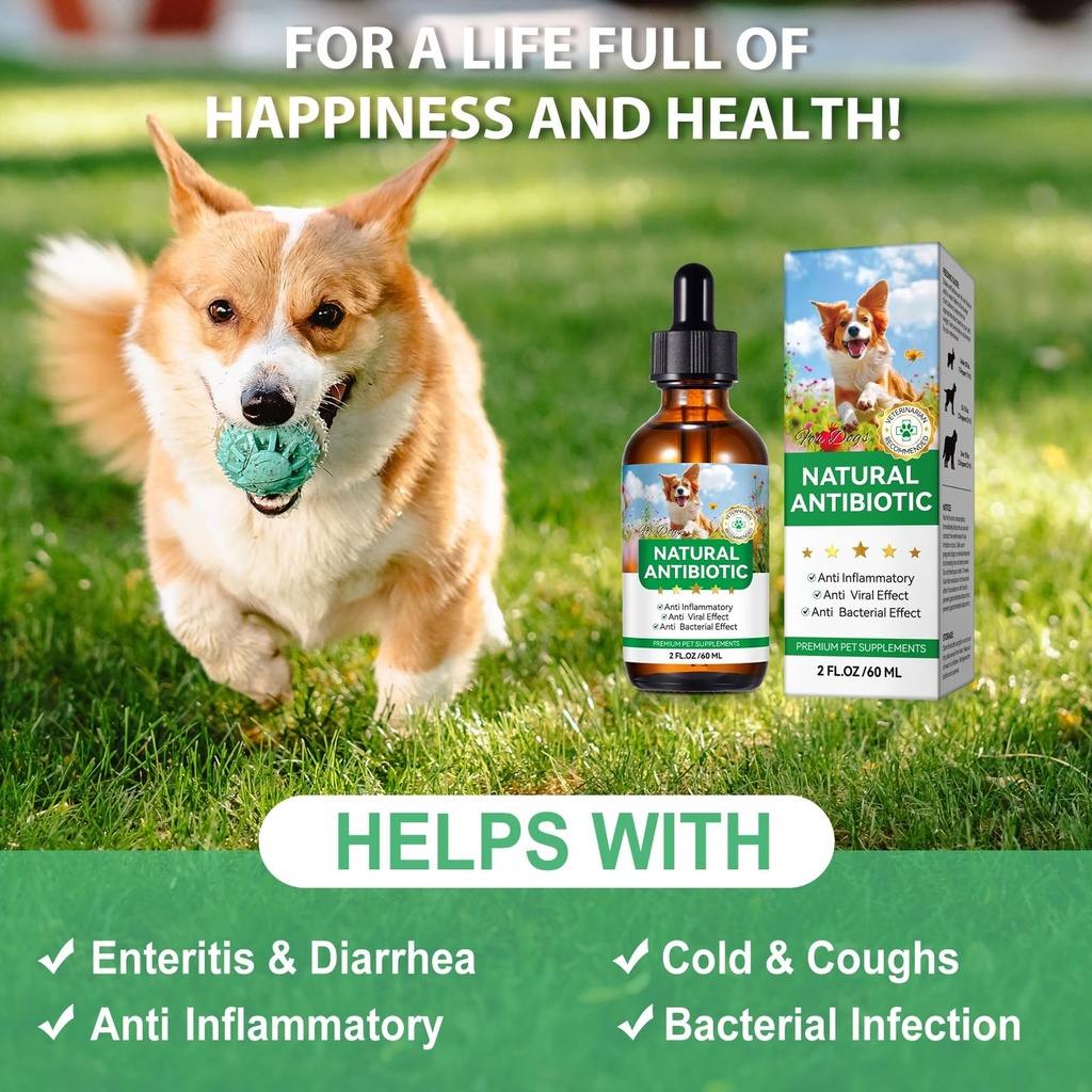 antibiotics-for-dogs-natural-antibiotics-3.jpg