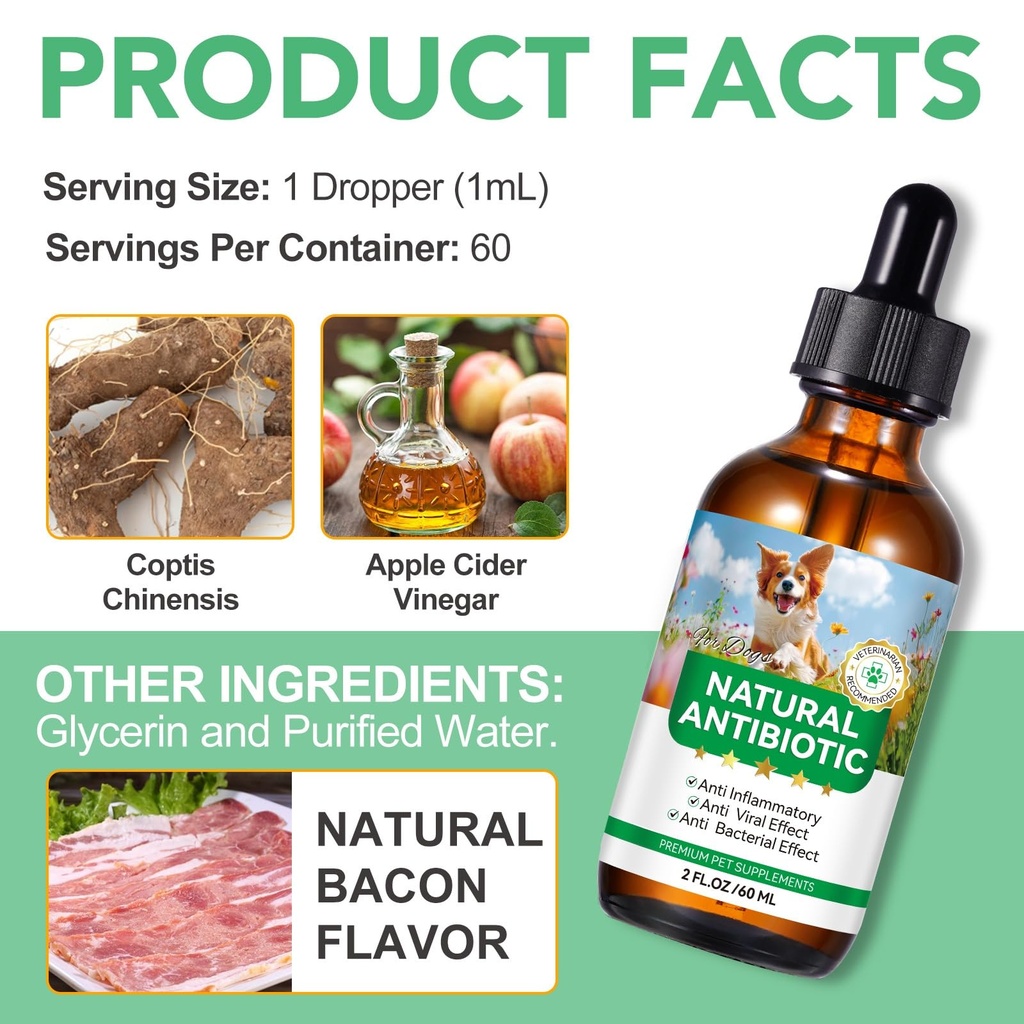 antibiotics-for-dogs-natural-antibiotics-2.jpg