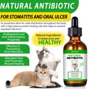 antibiotics-for-cats-cat-antibiotics-for-3.jpg
